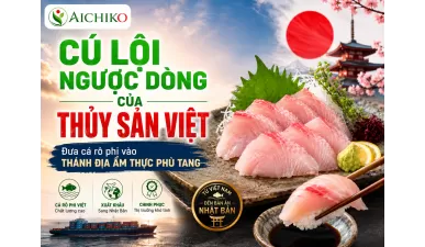 Cá rô phi Việt Nam lần đầu xuất khẩu sang Nhật làm Sushi