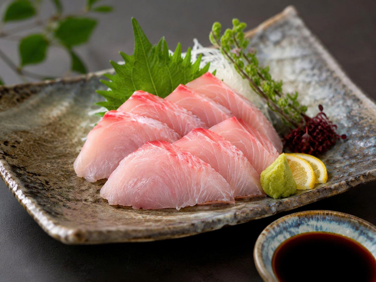 Cá rô phi Việt Nam lần đầu xuất khẩu sang Nhật làm Sushi: Cột mốc mới của ngành thủy sản